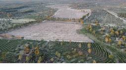 Alteração ao PDM do Município Gavião: impugnação de normas