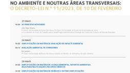 cartaz-saanat web-div