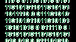 cibercrime num verde noticia 1