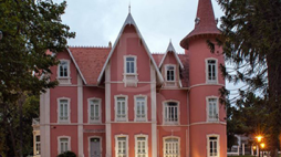 cmun alcobaca noticias leiria