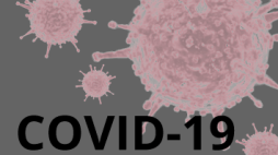 covid-19 divulgacao-2