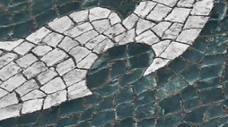 dciap separador calcada 19