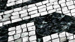 dciap separador calcada 6