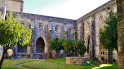 diap evora noticias 1040488