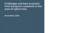 foto 2020 11 cybercrime casework overview report