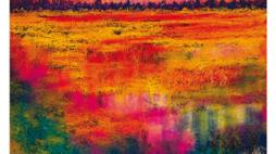 imagem-exhibition flyer