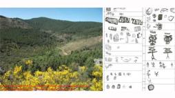 imagem dcceicd noticia 28-04-2023