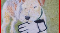 imagem eb direitoanimais2019