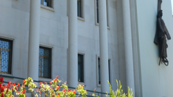 leiria noticias p1040005