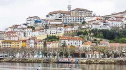 pgd coimbra noticias 8