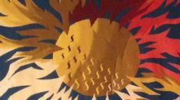 portalegre noticias sol