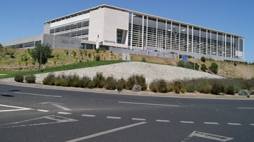 tribunal sintra noticia 1