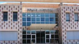 nucleo de silves - web