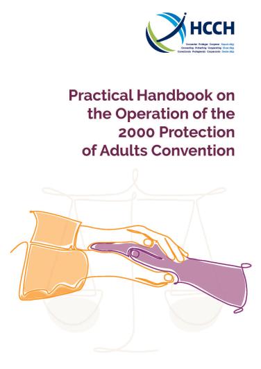 Manual de aplicação prática da Convenção