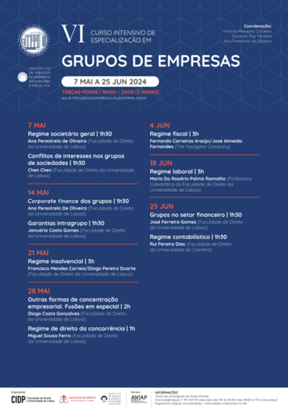 vi-curso-intensivo-de-especializacao-em-grupos-de-empresas