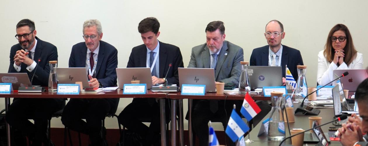 XI Reunião da RedCoop
